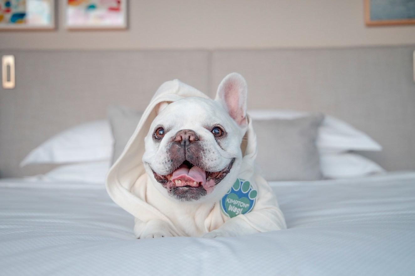 Kimpton Partners with Wag! to Bring Dog Walking Services to Guests Nationwide